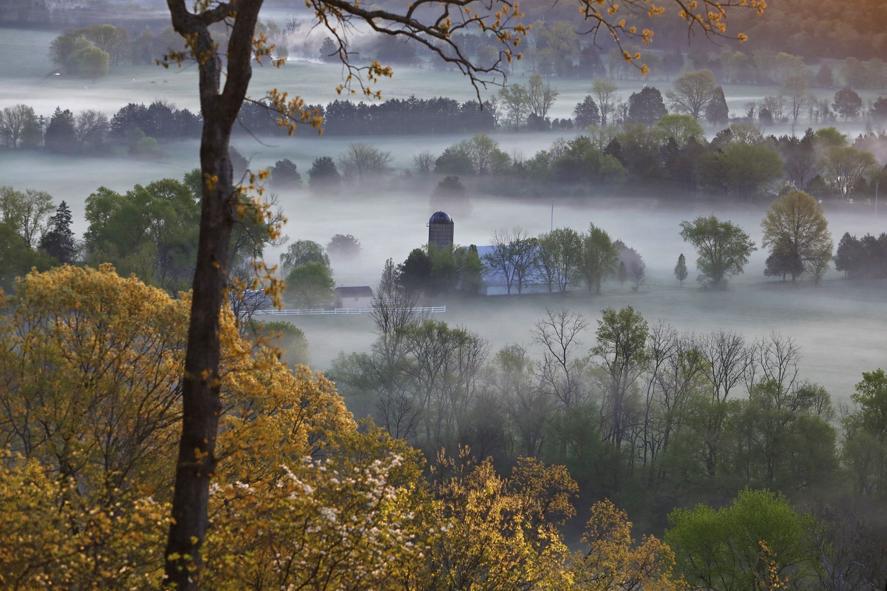 Fog covers the farm fields in Cedar Hill
